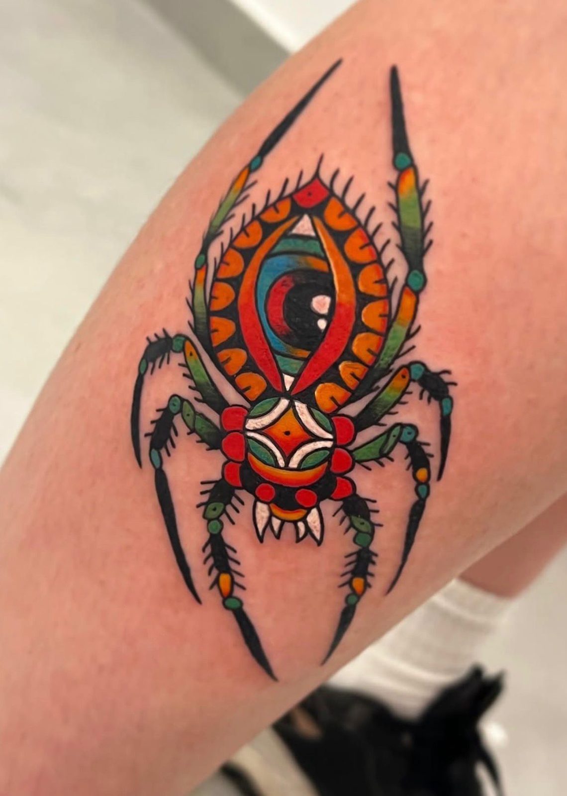 קעקוע עכביש צבעוני בסגנון ניאו־טרדישנל
